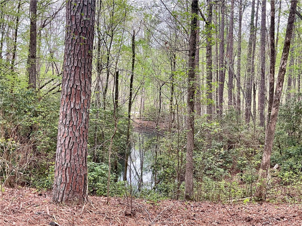 Lot 89 Timber Lane Seneca, SC 29672 - Photo 27 of 43