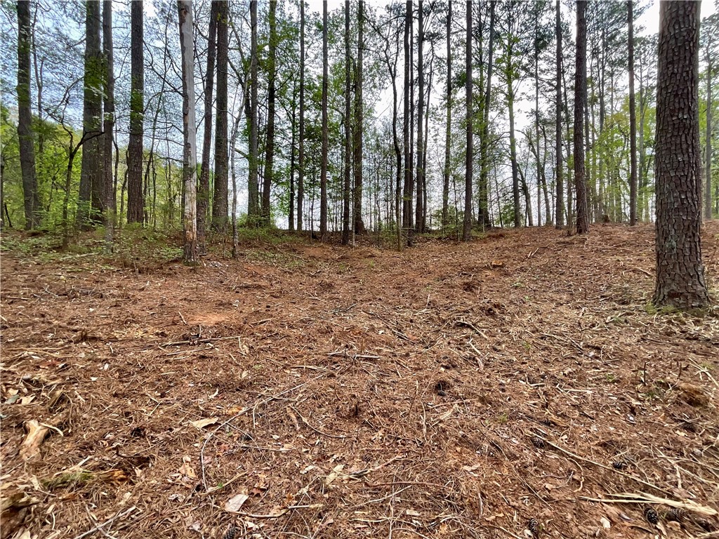 Lot 89 Timber Lane Seneca, SC 29672 - Photo 28 of 43