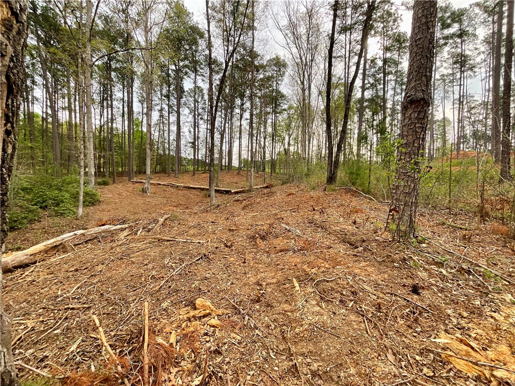 Lot 89 Timber Lane Seneca, SC 29672 - Photo 29 of 43