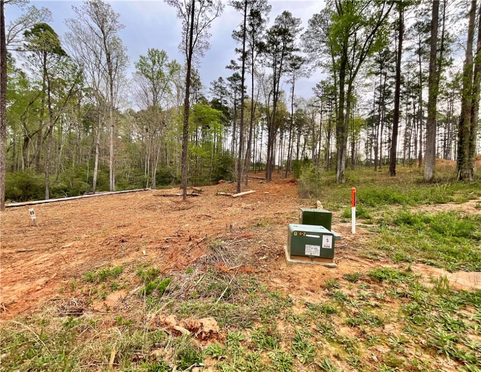 Lot 89 Timber Lane Seneca, SC 29672 - Photo 3 of 43