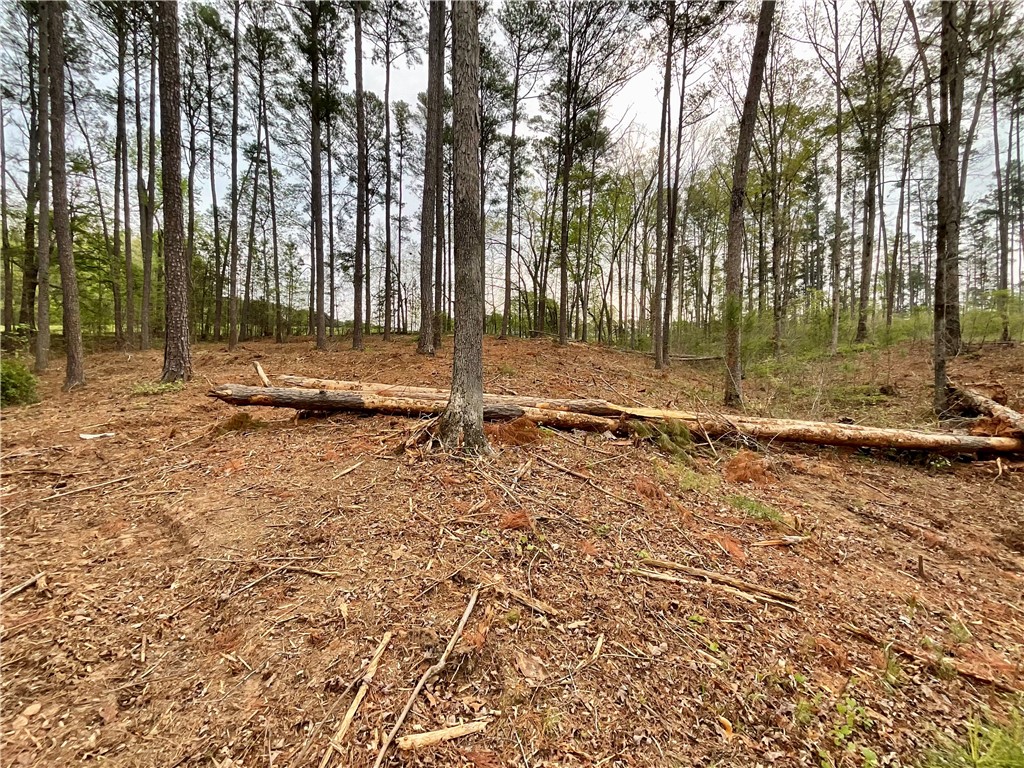 Lot 89 Timber Lane Seneca, SC 29672 - Photo 31 of 43