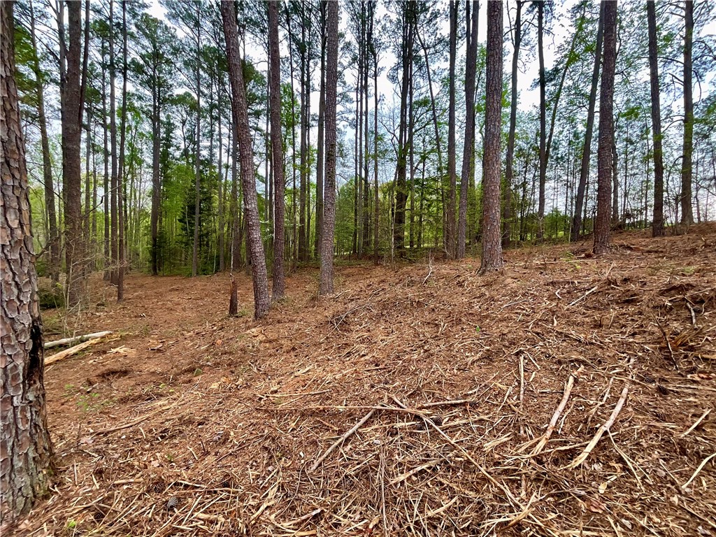 Lot 89 Timber Lane Seneca, SC 29672 - Photo 32 of 43