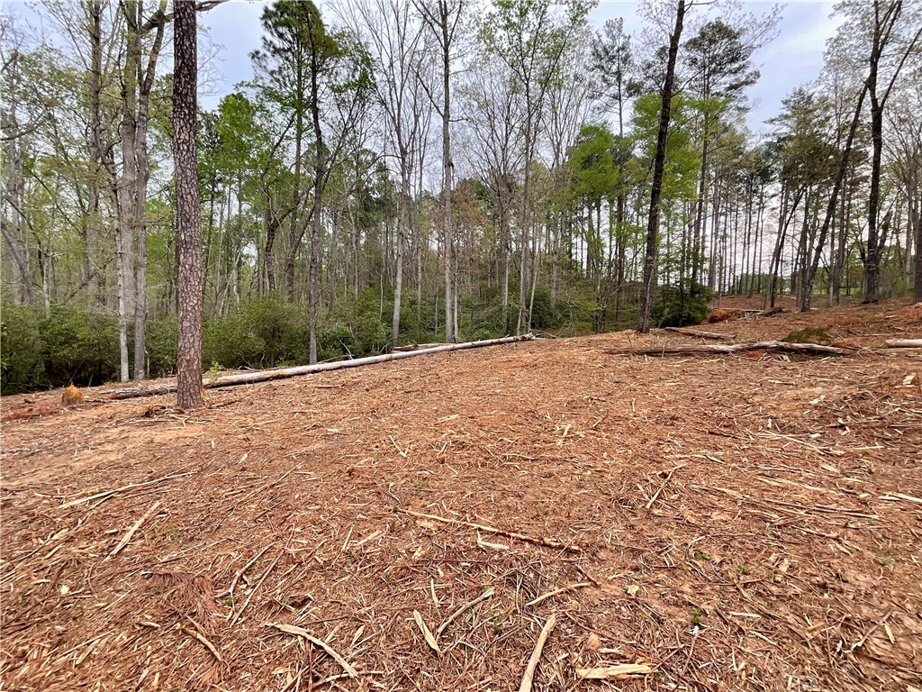 Lot 89 Timber Lane Seneca, SC 29672 - Photo 33 of 43