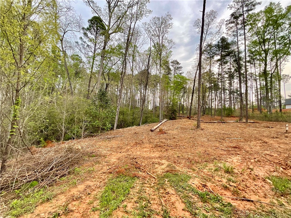 Lot 89 Timber Lane Seneca, SC 29672 - Photo 34 of 43