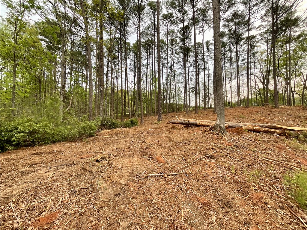 Lot 89 Timber Lane Seneca, SC 29672 - Photo 35 of 43
