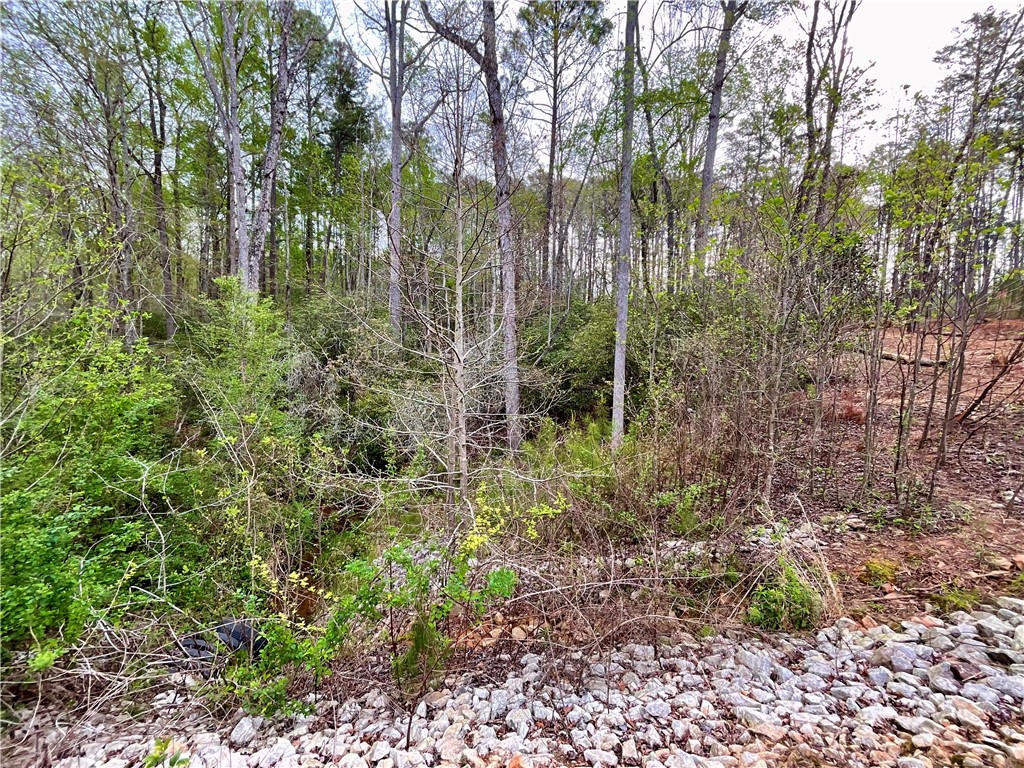 Lot 89 Timber Lane Seneca, SC 29672 - Photo 36 of 43