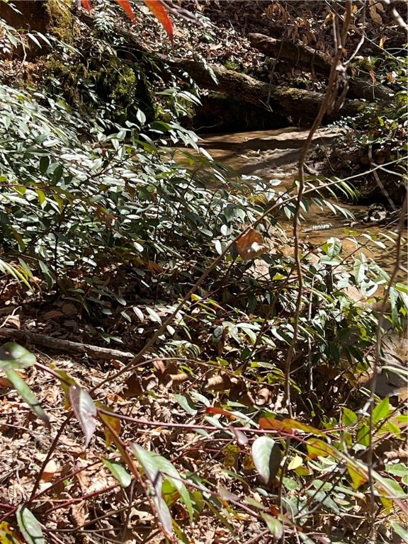 Lot 89 Timber Lane Seneca, SC 29672 - Photo 39 of 43