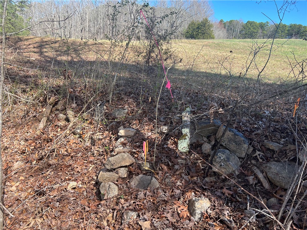 Lot 89 Timber Lane Seneca, SC 29672 - Photo 40 of 43