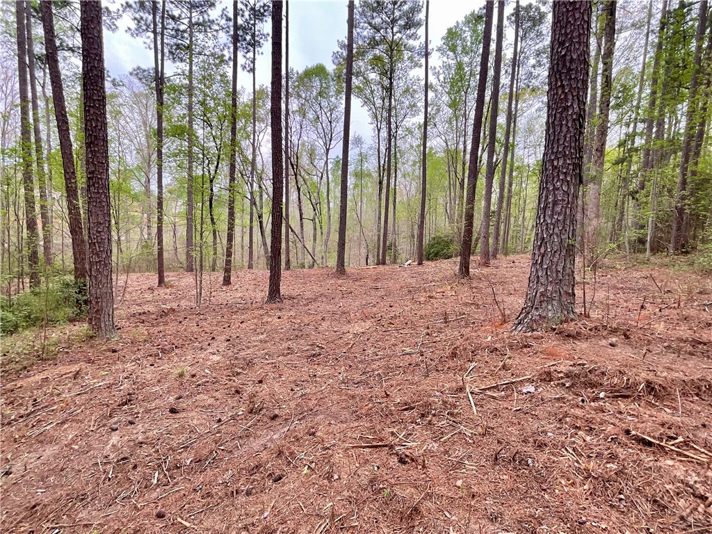 Lot 89 Timber Lane Seneca, SC 29672 - Photo 4 of 43