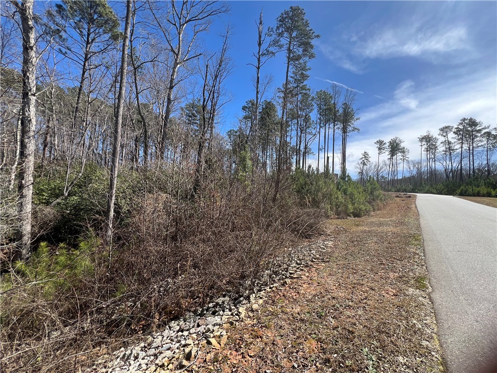 Lot 89 Timber Lane Seneca, SC 29672 - Photo 5 of 43