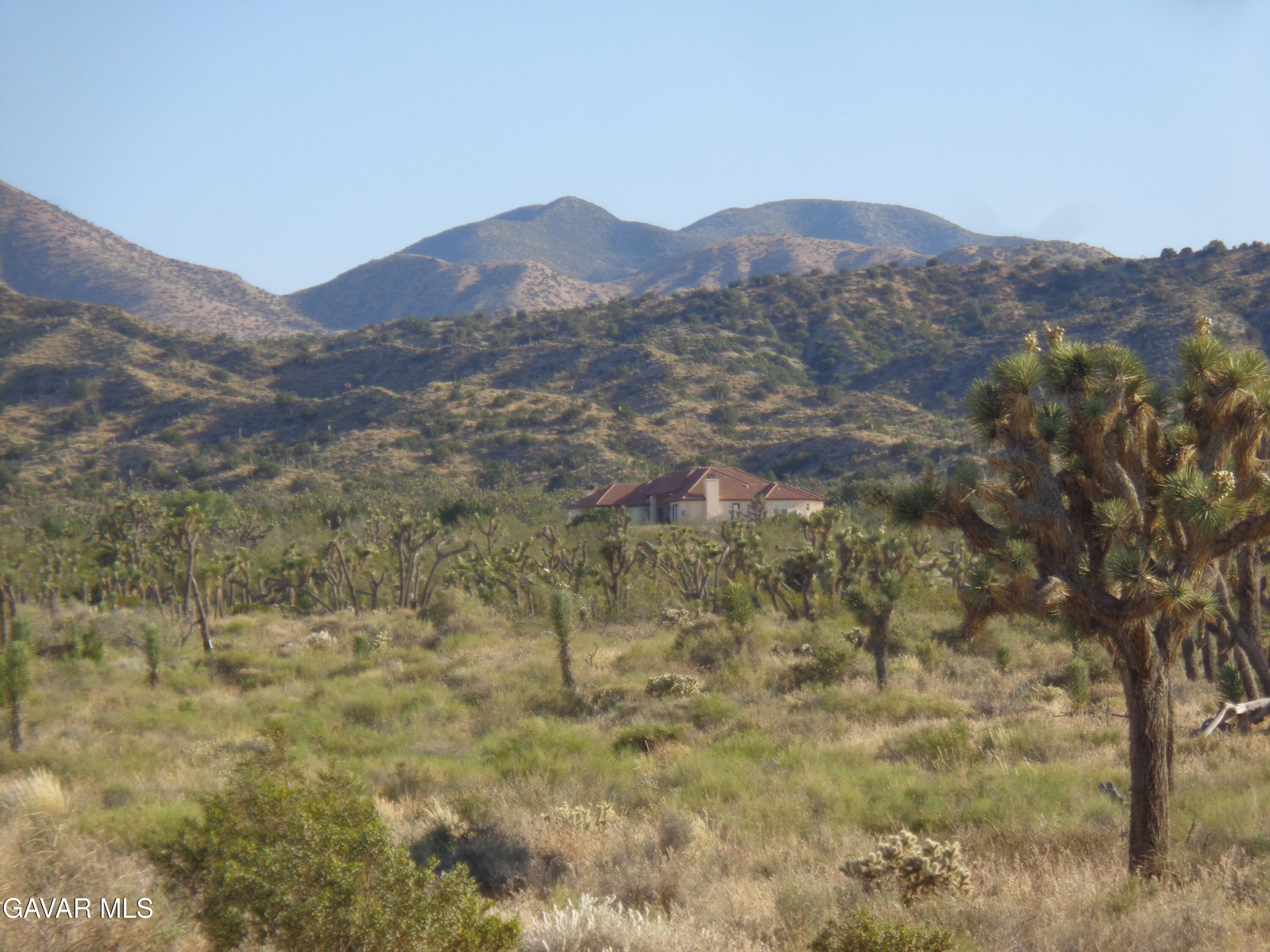 1 Pearblossom Ca Littlerock, CA 93543 - Photo 12 of 21 DSC03792