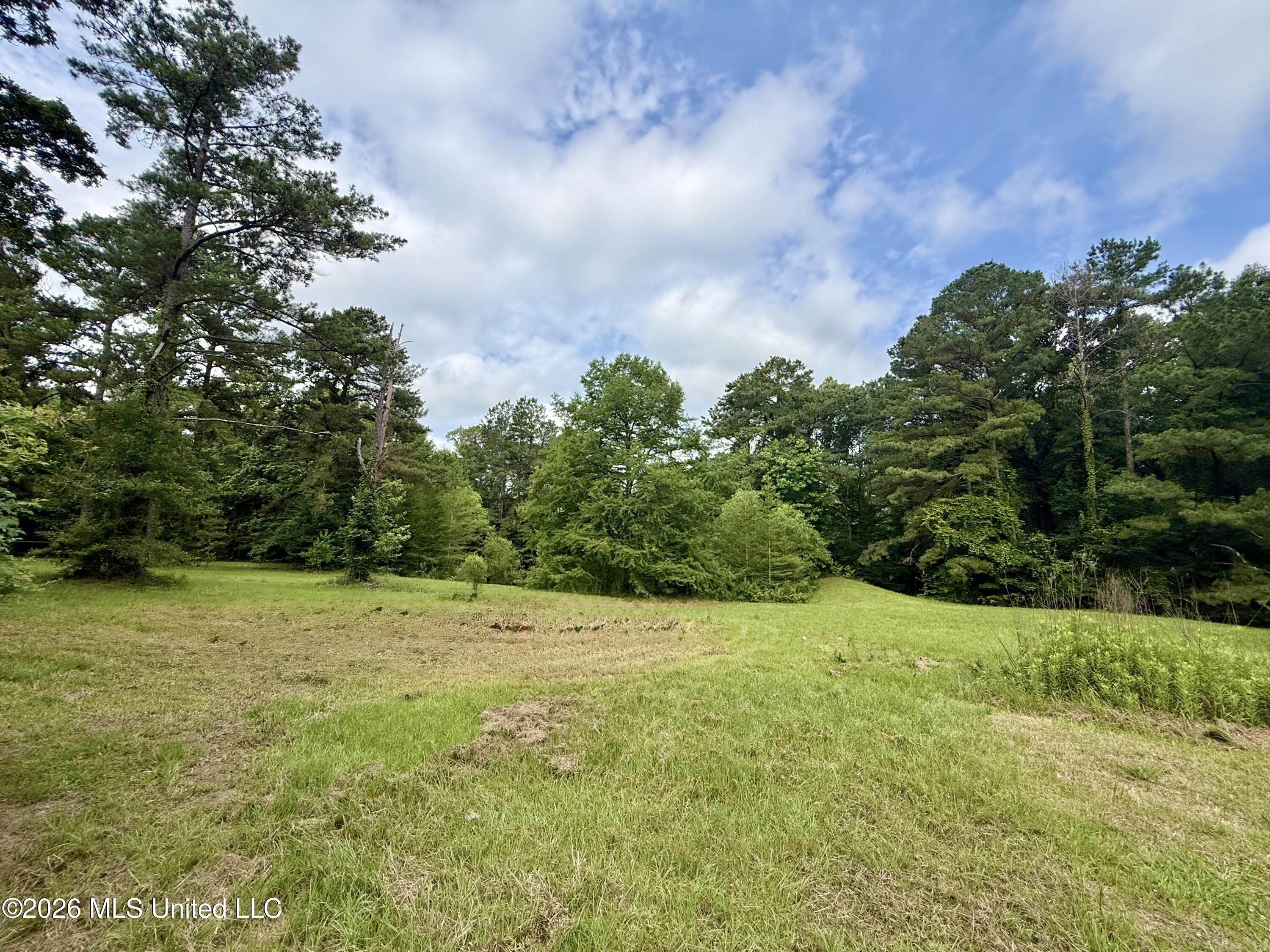 1019 Dry Grove Road Crystal Springs, MS 39059 - Photo 10 of 53 IMG_4401