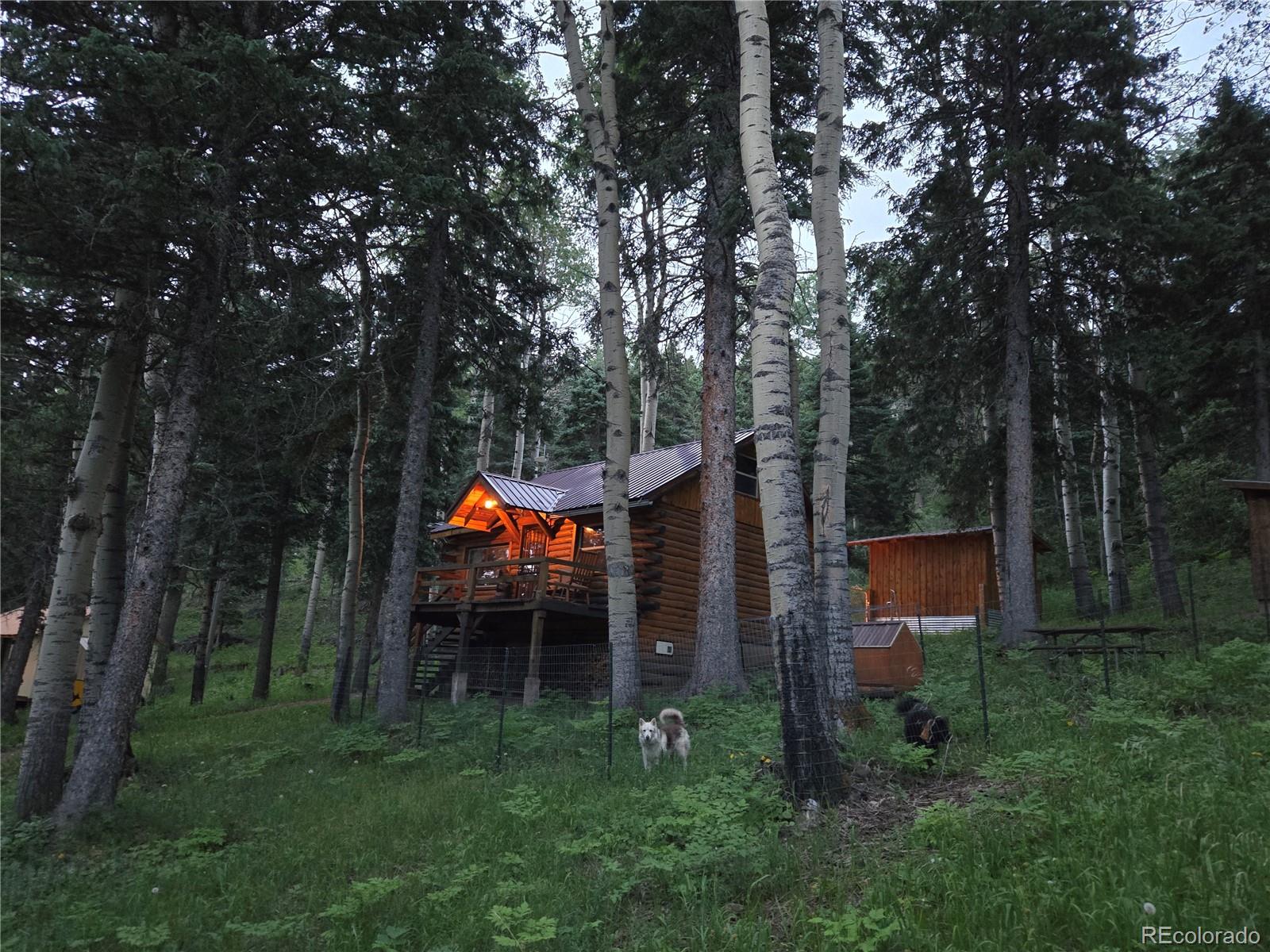 9626 Highway 165 Rye, CO 81069 - Photo 2 of 27