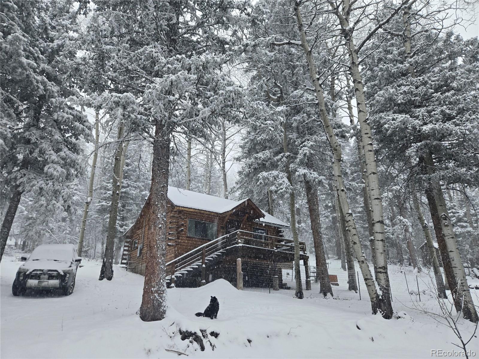 9626 Highway 165 Rye, CO 81069 - Photo 3 of 27