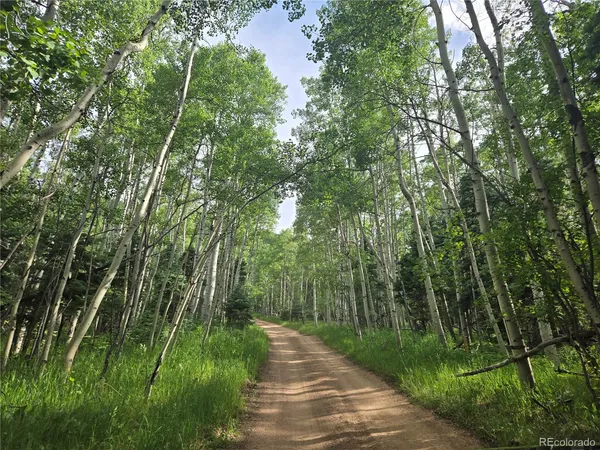 $229,000 | 9626 Highway 165, Rye, CO 81069