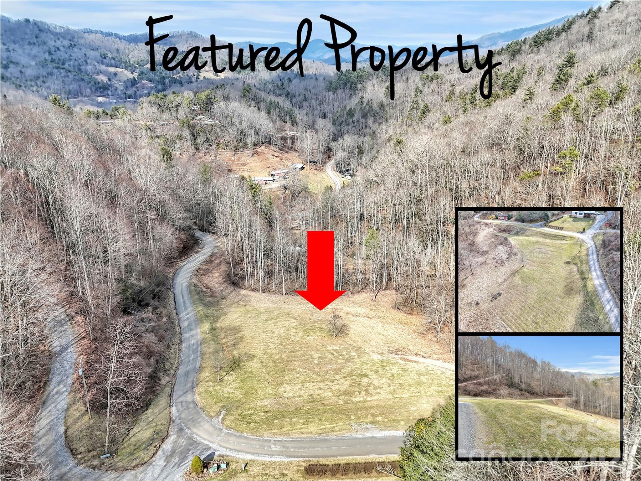 0 Seay Mountain Road Waynesville, NC 28785 - Photo 1 of 17