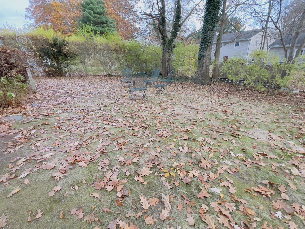40 Michael Drive Brockton, MA 02301 - Photo 18 of 22 a backyard of a house with lots of green space