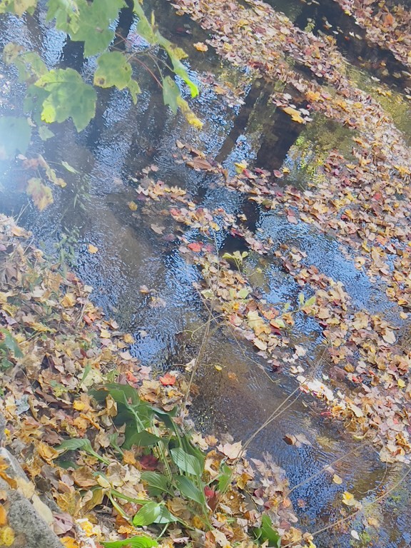 40 Michael Drive Brockton, MA 02301 - Photo 20 of 22