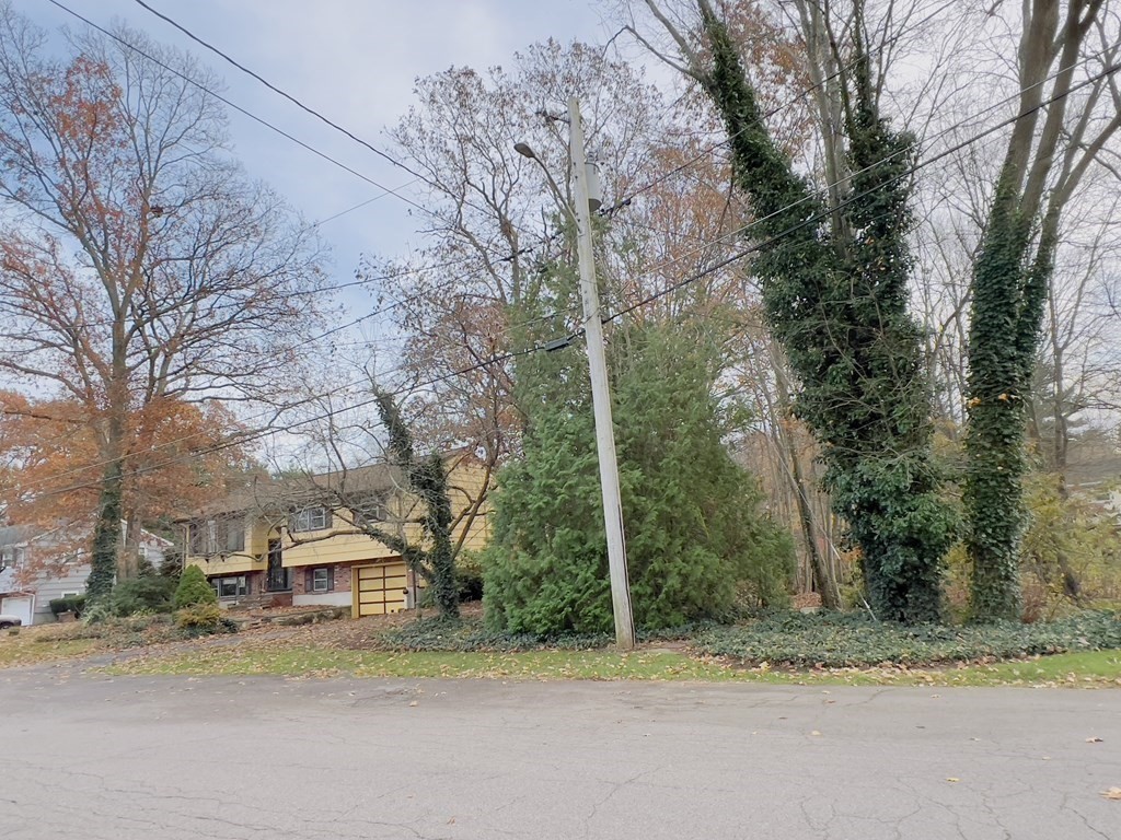 40 Michael Drive Brockton, MA 02301 - Photo 5 of 22 a view of a yard and a house