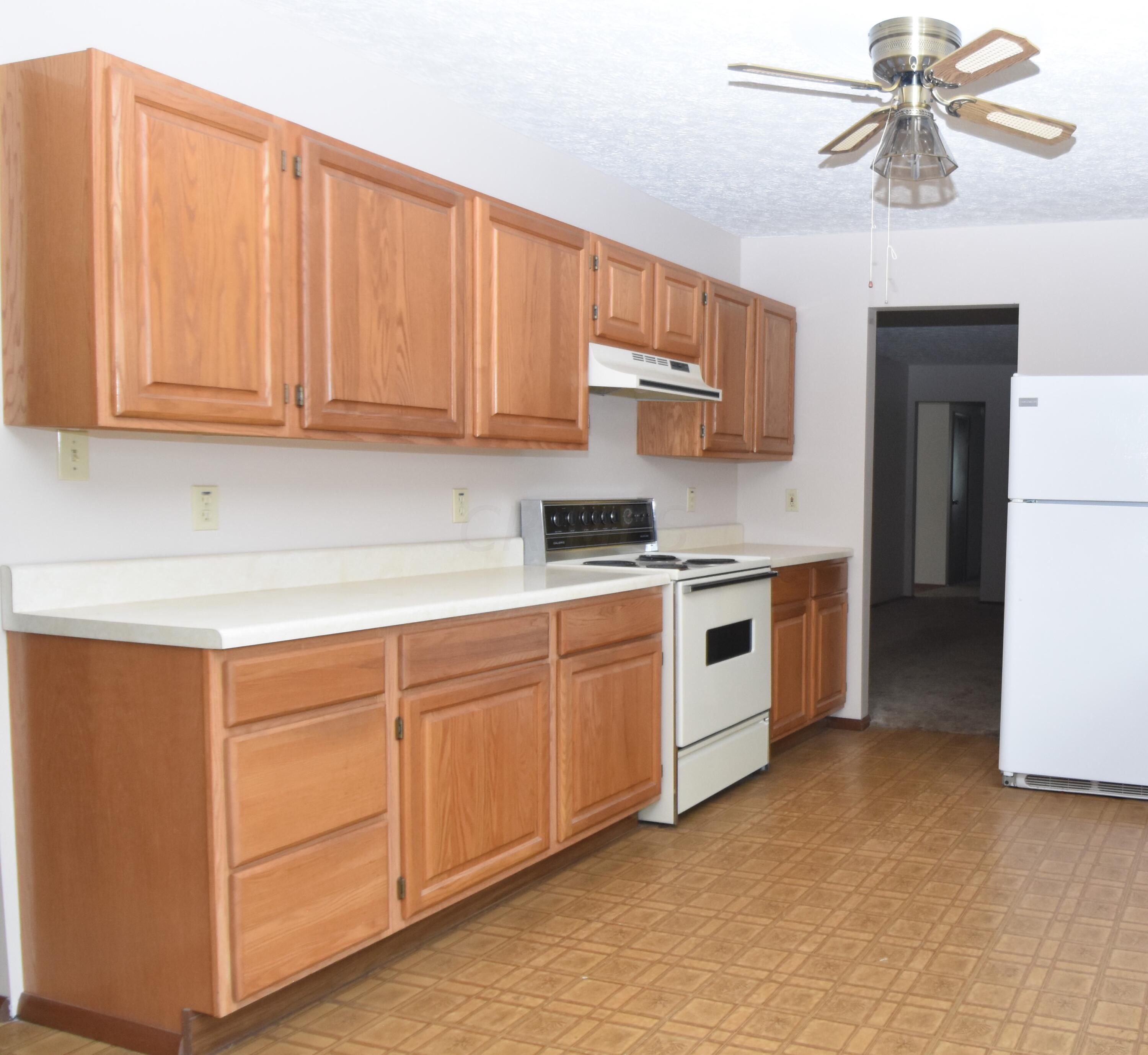 808 Cheshire Road Sunbury, OH 43074 - Photo 10 of 29 Kitchen