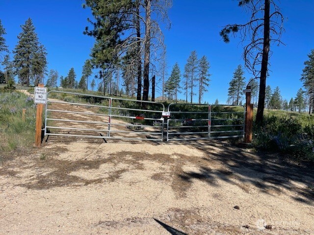 a view of backyard with wooden fence and trees