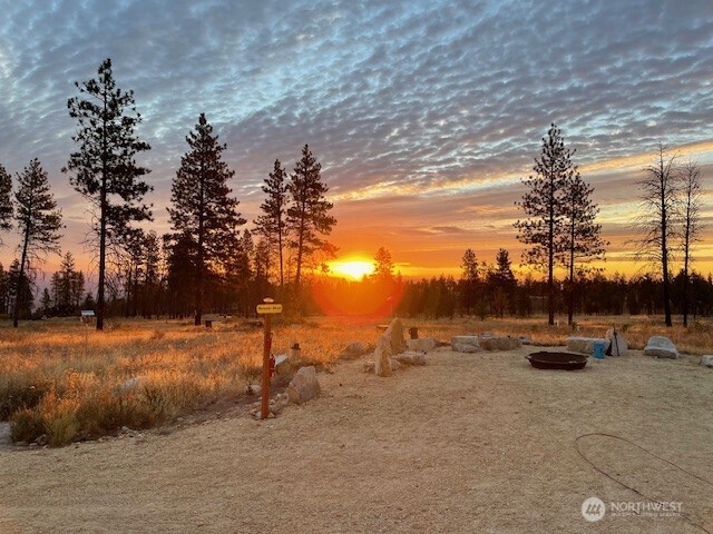 -nna Harmony Heights Road Brewster, WA 98812 - Photo 12 of 39 a view of tall trees