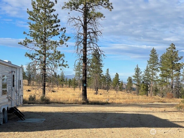 -nna Harmony Heights Road Brewster, WA 98812 - Photo 19 of 39 a view of road and trees