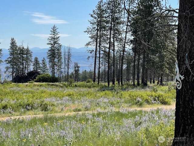 -nna Harmony Heights Road Brewster, WA 98812 - Photo 2 of 39 a view of backyard with green space