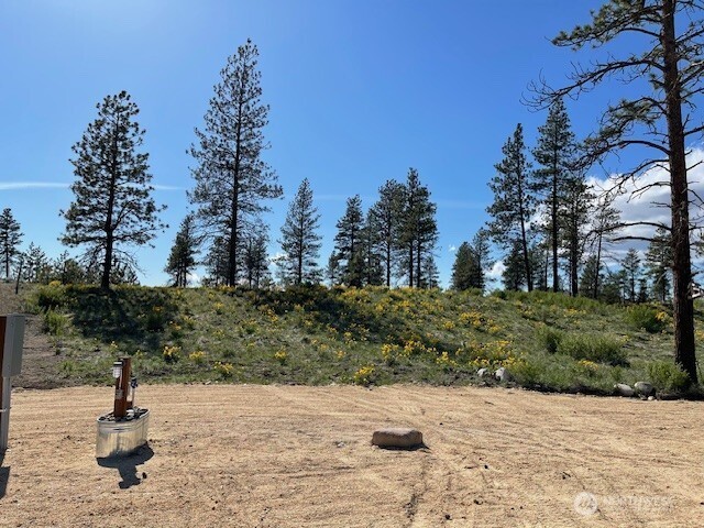-nna Harmony Heights Road Brewster, WA 98812 - Photo 24 of 39 a view of a yard with a tree