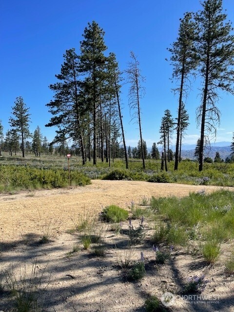 -nna Harmony Heights Road Brewster, WA 98812 - Photo 31 of 39 a view of a yard with a fountain