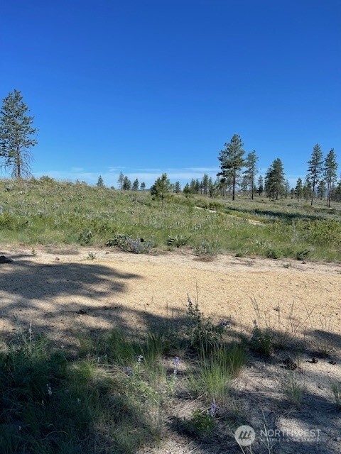 -nna Harmony Heights Road Brewster, WA 98812 - Photo 32 of 39 a view of lake view and mountain