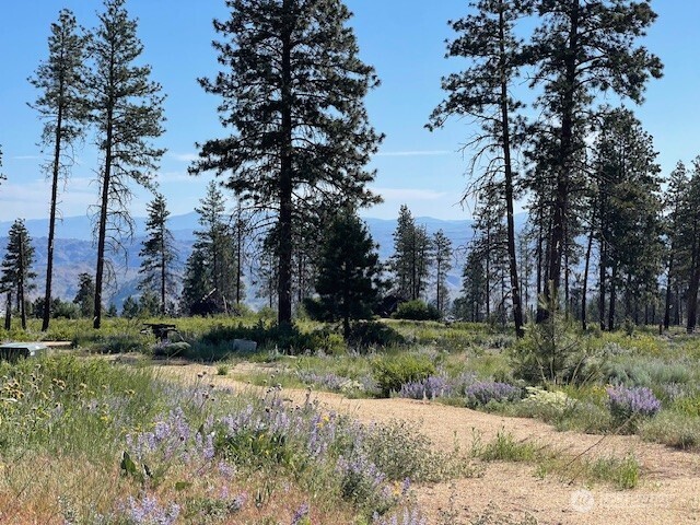-nna Harmony Heights Road Brewster, WA 98812 - Photo 33 of 39 a view of a park that has large trees