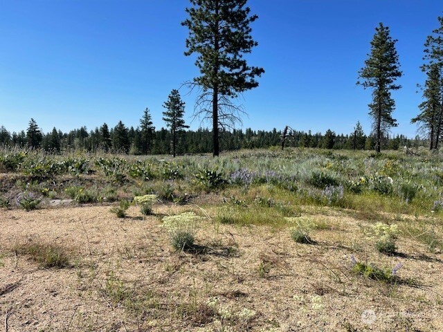 -nna Harmony Heights Road Brewster, WA 98812 - Photo 35 of 39 a view of a yard with a tree