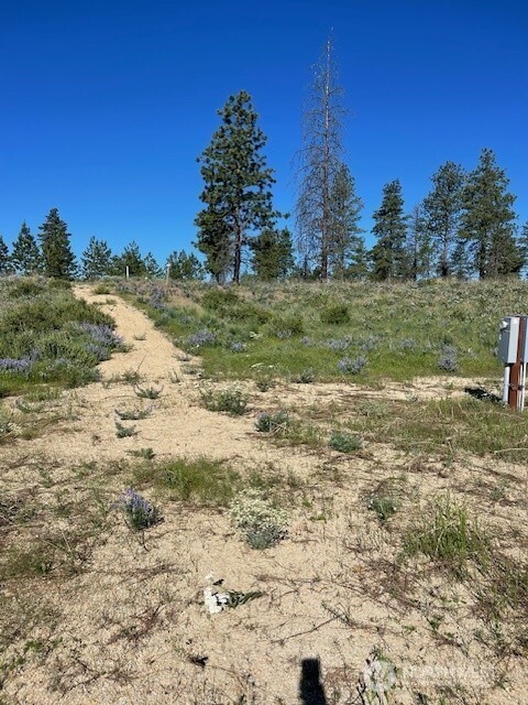 -nna Harmony Heights Road Brewster, WA 98812 - Photo 36 of 39 a view of a yard with an trees