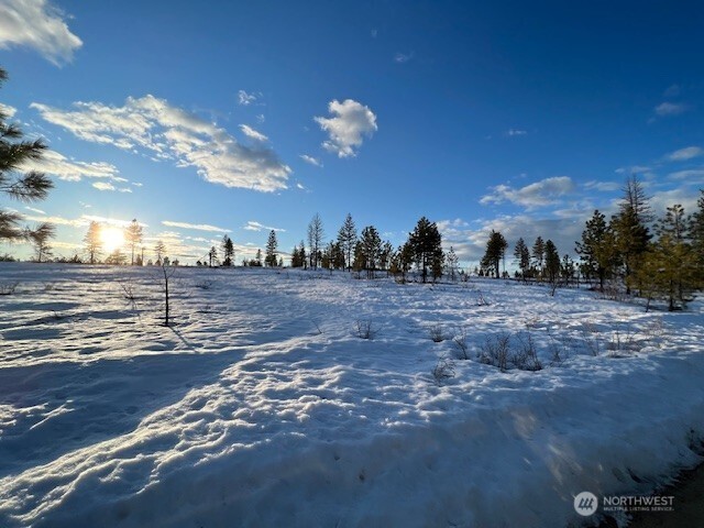 -nna Harmony Heights Road Brewster, WA 98812 - Photo 39 of 39 a view of a city with lots of trees