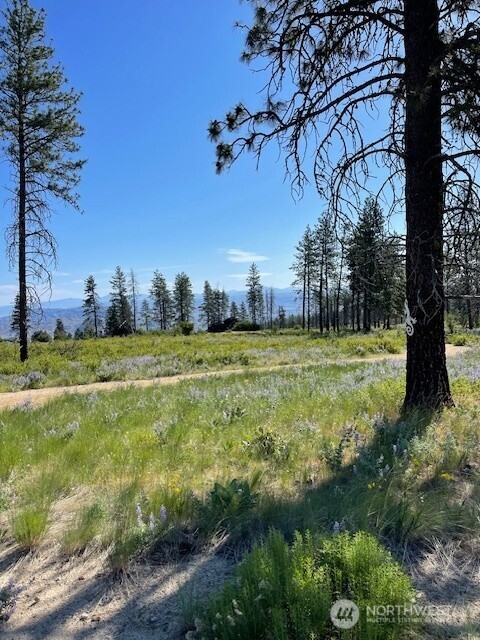 -nna Harmony Heights Road Brewster, WA 98812 - Photo 5 of 39 a view of a field with an trees