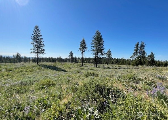 -nna Harmony Heights Road Brewster, WA 98812 - Photo 8 of 39 a view of a green field