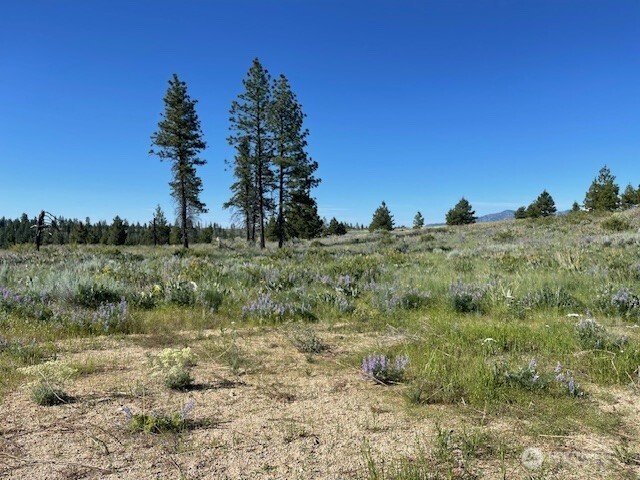 -nna Harmony Heights Road Brewster, WA 98812 - Photo 9 of 39 a view of a field with trees in the background
