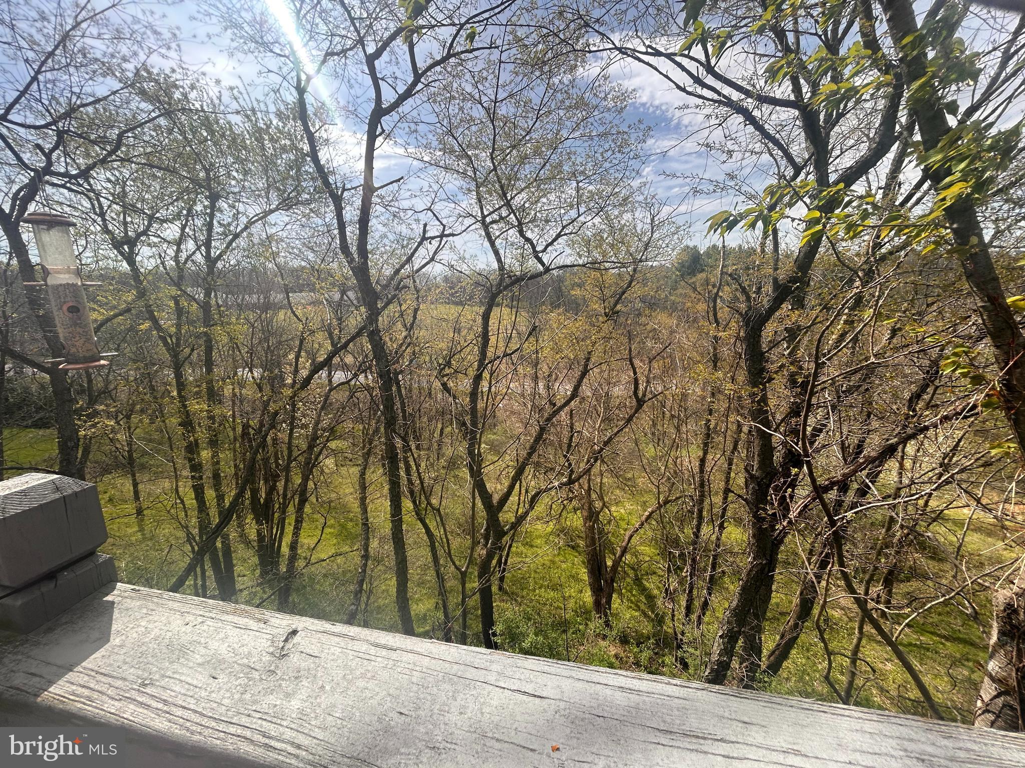 1602 Churchill Road Harrisburg, PA 17111 - Photo 59 of 61 View of Trees from Atop the Raised Rear Deck...