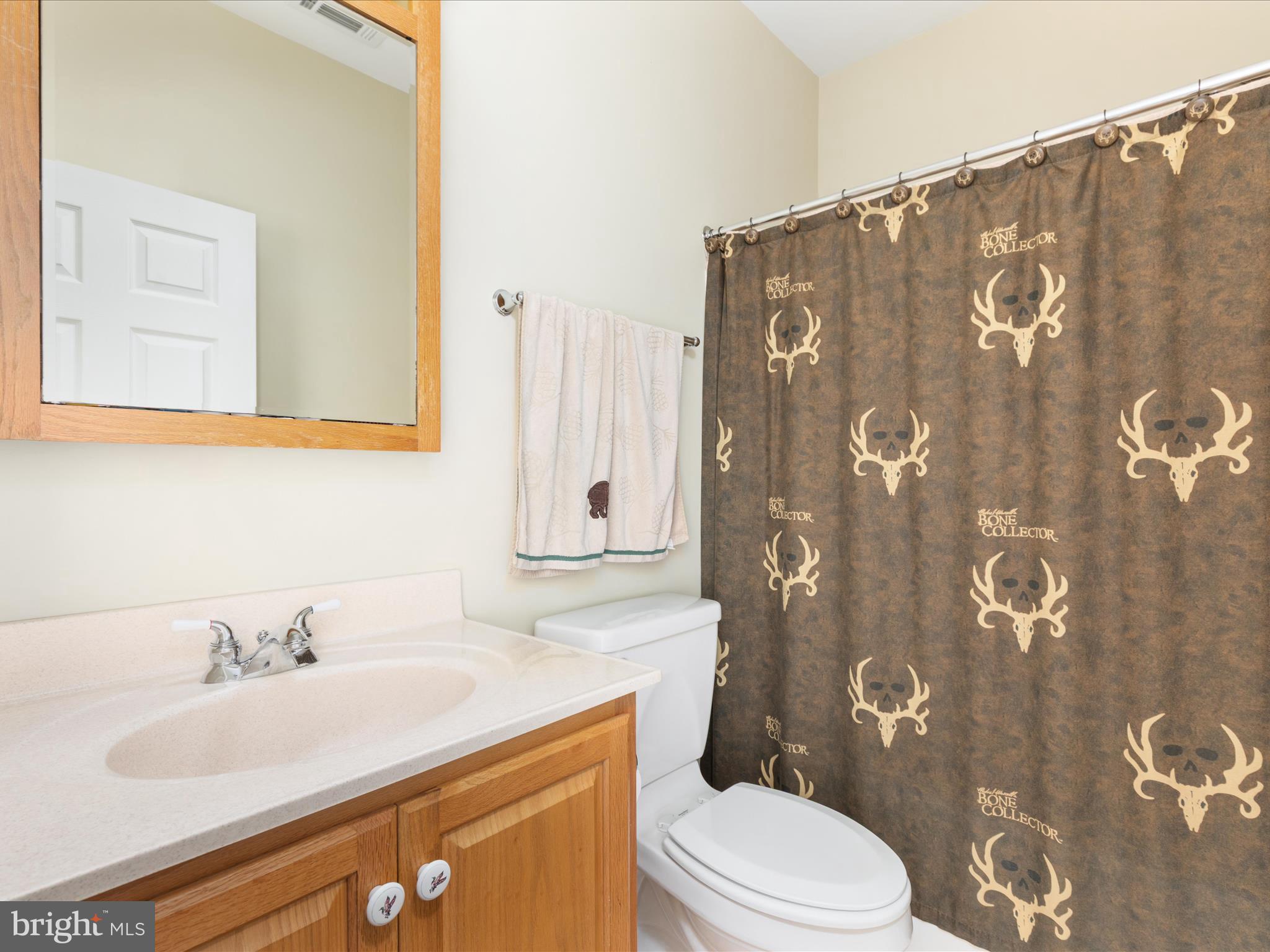 364 Stoney Bottom Road Front Royal, VA 22630 - Photo 22 of 61 Full Bath