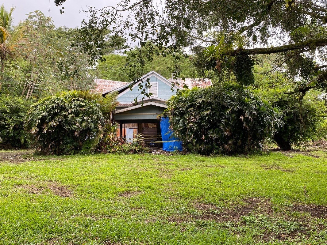 17-296 Volcano Road Kurtistown, HI 96749 - Photo 1 of 6