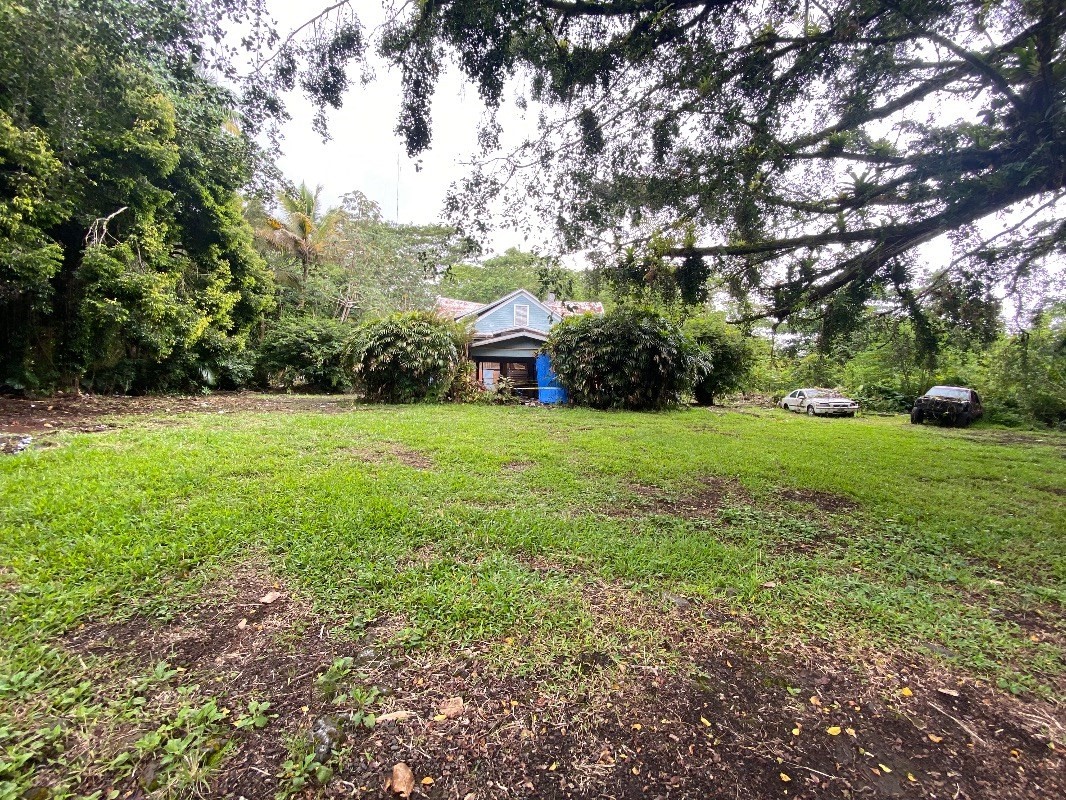 17-296 Volcano Road Kurtistown, HI 96749 - Photo 2 of 6