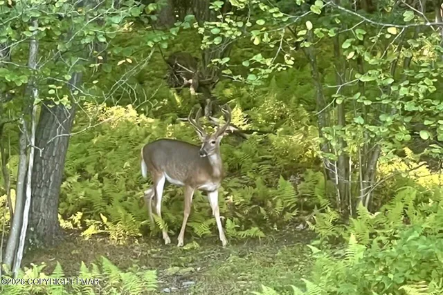 $575,000 | 208 Bryan Drive, Kresgeville, PA 18333