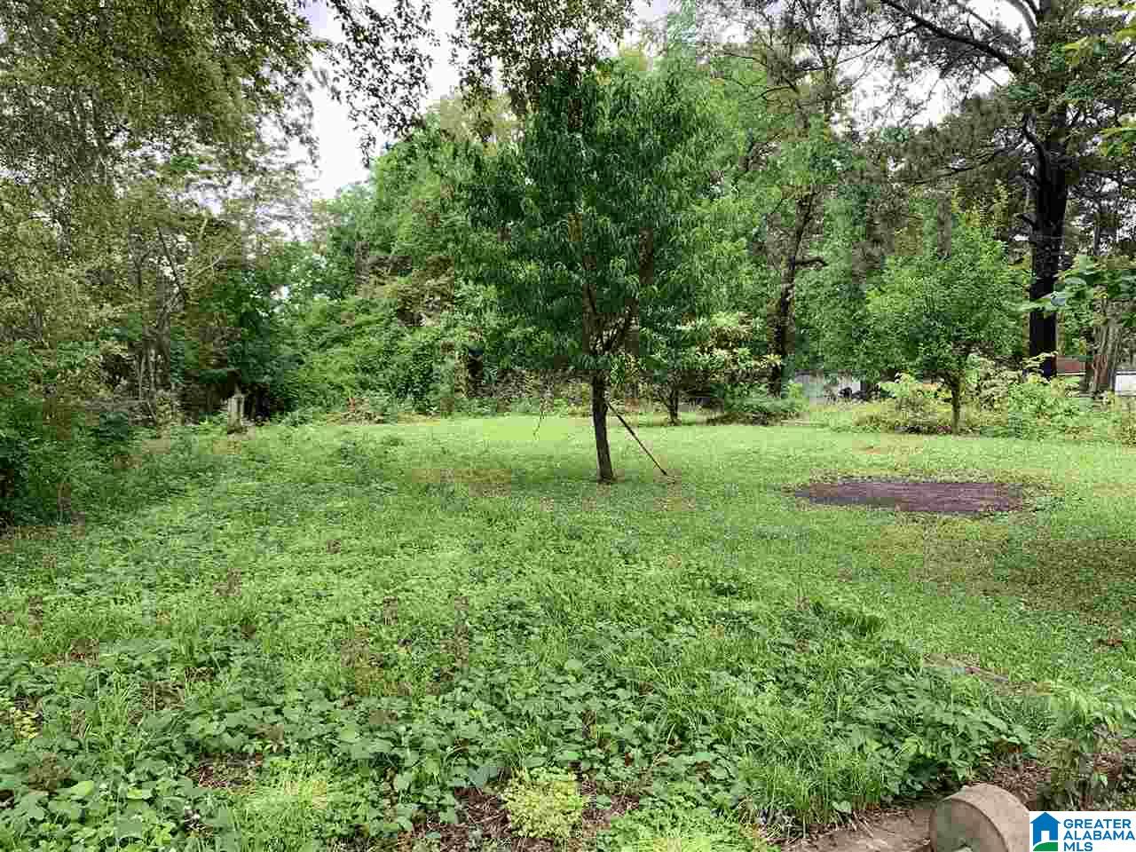 2152 Chapel Hill Road Birmingham, AL 35216 - Photo 33 of 36