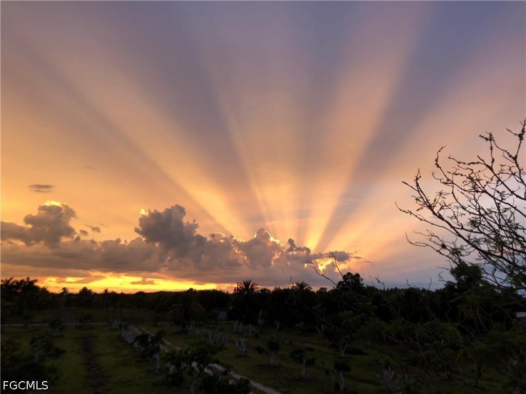 13098 Ficus Tree Lane Bokeelia, FL 33922 - Photo 5 of 11