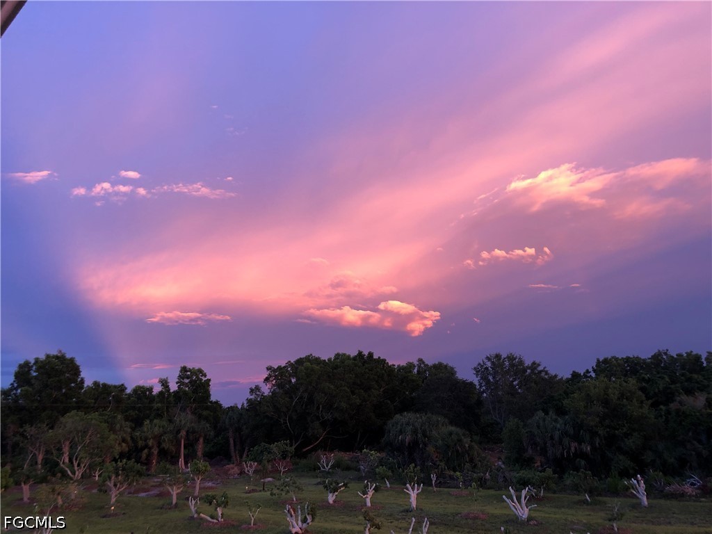 13098 Ficus Tree Lane Bokeelia, FL 33922 - Photo 6 of 11