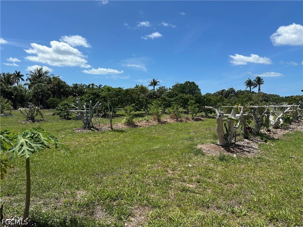 13098 Ficus Tree Lane Bokeelia, FL 33922 - Photo 9 of 11
