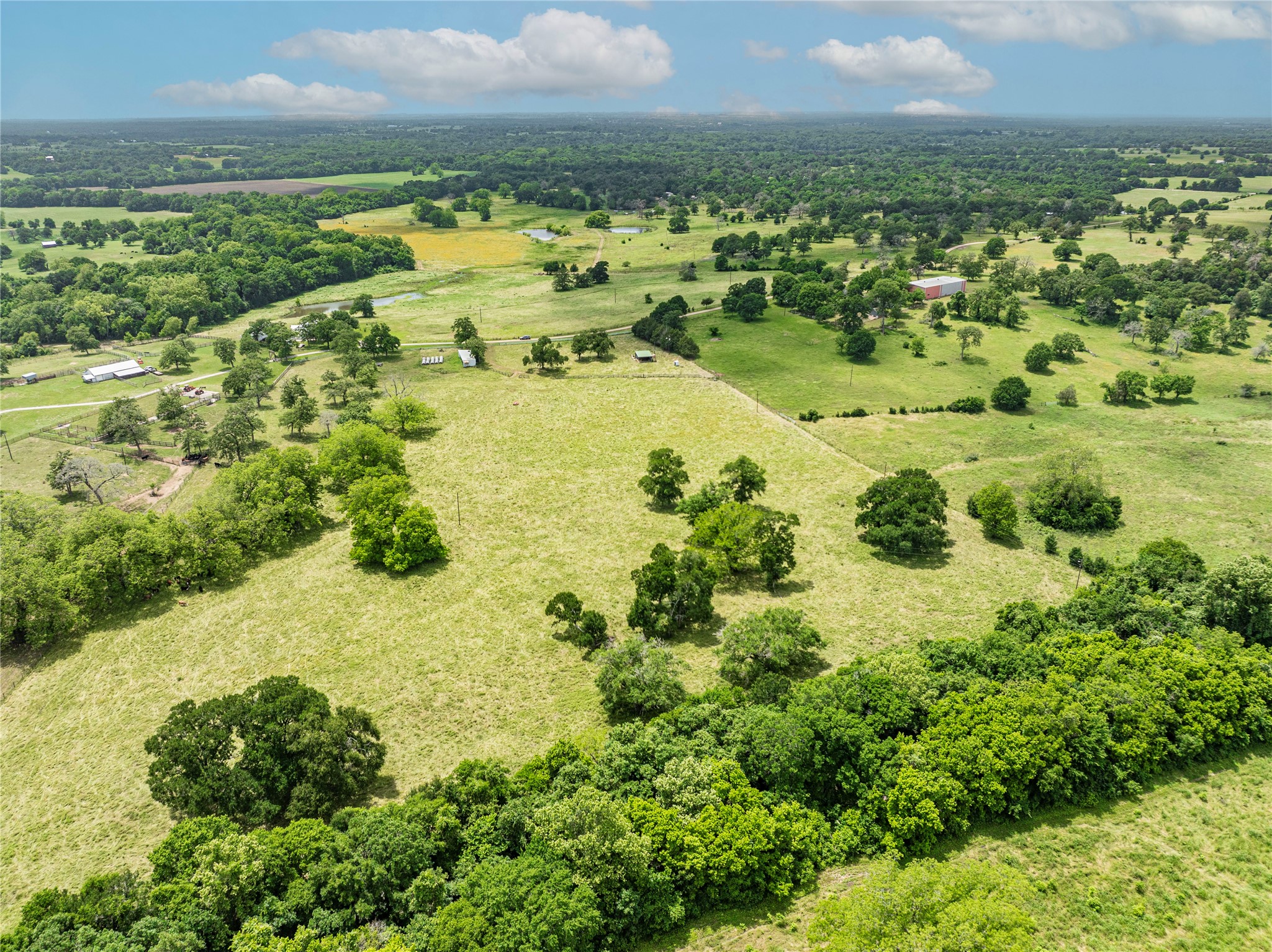 3148 Mill Creek Ranch Road Bellville, TX 77418 - Photo 11 of 13