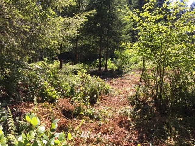 -xxx Xxx Cronquist Road Allyn, WA 98524 - Photo 12 of 25 Gallery Image 12