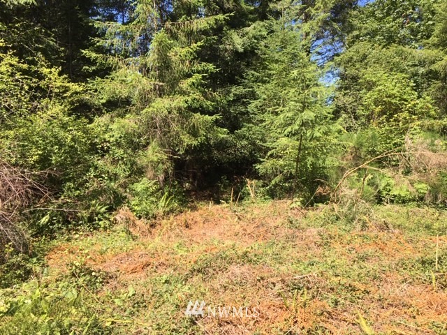-xxx Xxx Cronquist Road Allyn, WA 98524 - Photo 13 of 25 Gallery Image 13